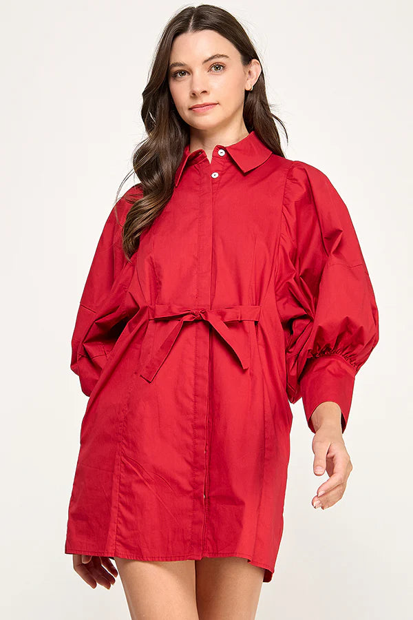 Remi Statement Sleeve Shirt Dress