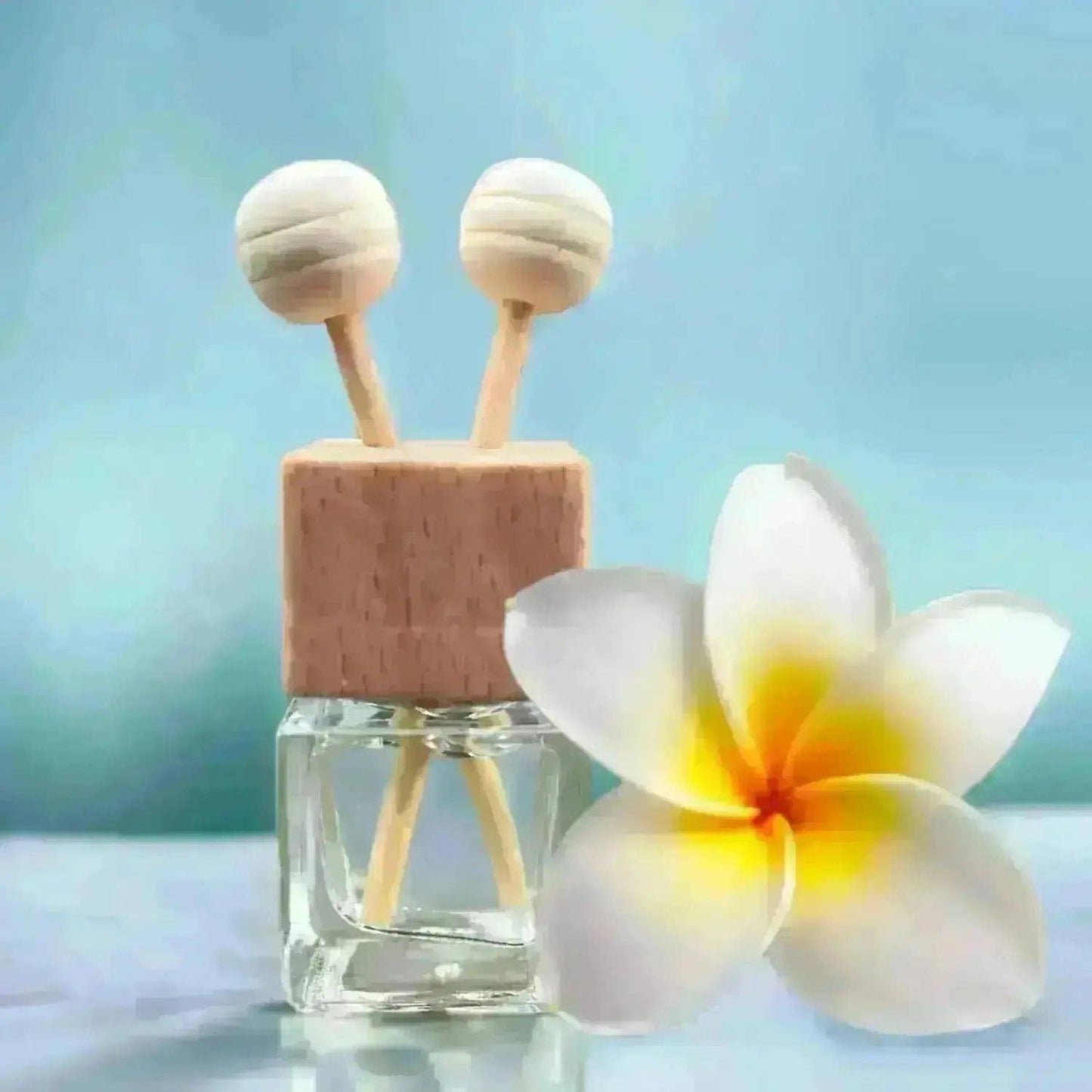 Coastal Christmas | Car Diffuser